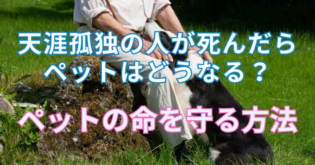 天涯孤独の人が死んだ時ペットはどうなる？ペットの命を守ろう